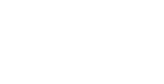CarriRo Basic